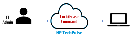 Knowledge Base - Workforce Experience Platform
